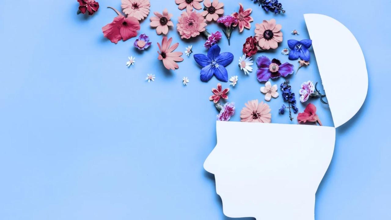 WhatsApp Image 2025-04-16 at 12.21.45 PM (1).jpeg